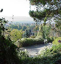 view into the valley from the wild garden
